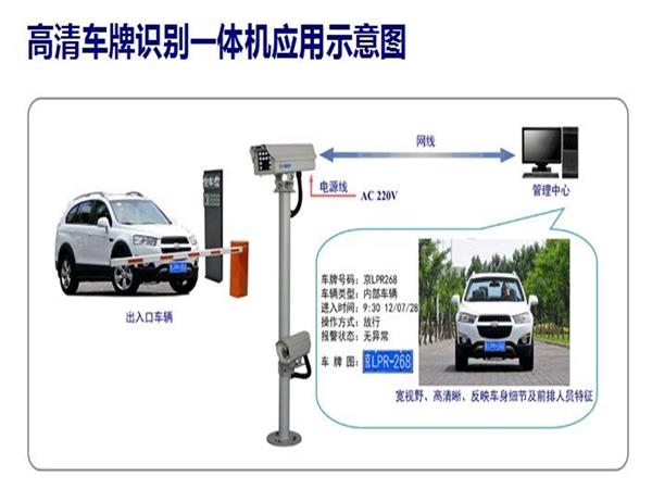 红杏APP视频永久网址系统