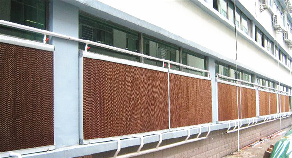 红杏APP视频永久网址水帘安装