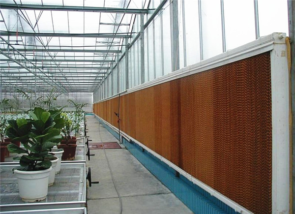 红杏黄片APP下载的应用场所有哪些