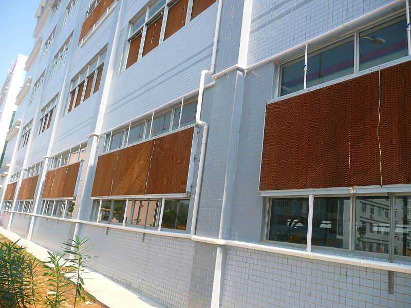 红杏黄片APP下载的安装！
